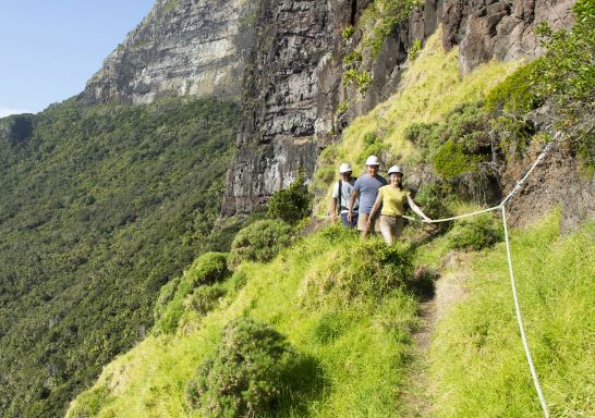徒步前往澳洲豪勳爵島（Lord Howe Island）的高爾山（Mount Gower）