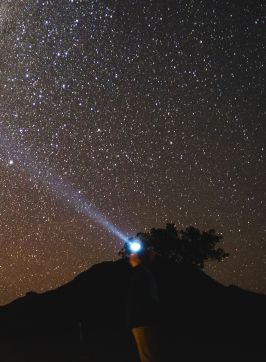 Camping and stargazing, Dark Sky Park, Warrumbungles National Park