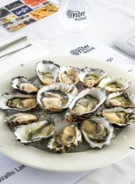 Narooma Oyster Festival - Credit: David Rogers | Narooma Rocks
