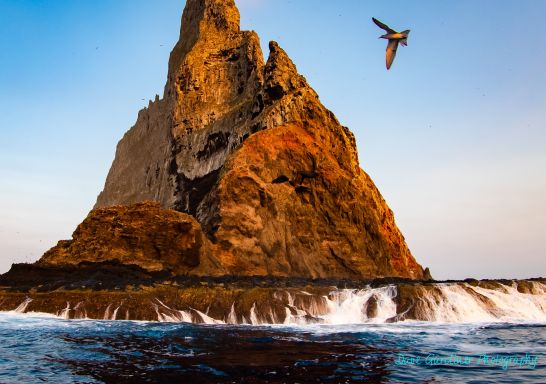 鳥瞰豪勳爵島（Lord Howe Island）Reef N Beyond 生態之旅