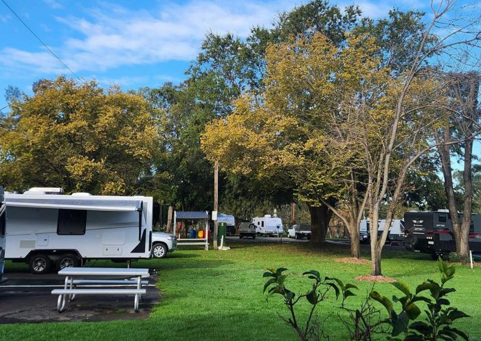 無尾熊考拉範公園 - 圖片來源:無尾熊範公園 無尾熊 Van Park露營車位於無尾熊的拉克蘭河旁