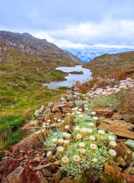 Main Range walking track at Kosciuszko National Park, Snowy Mountains